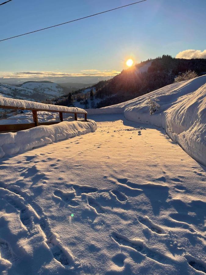 Le Cocon D'Emma Lägenhet La Bresse Exteriör bild