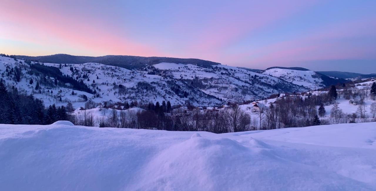 Le Cocon D'Emma Lägenhet La Bresse Exteriör bild